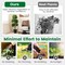 45 Inch Artificial Boxwood Topiary Ball Tree Perfect for Indoor-Outdoor Decor